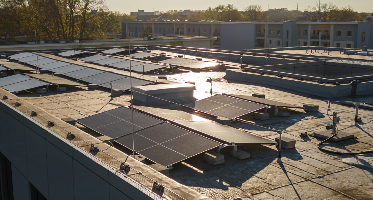 Solarpaneele auf einem Flachdach im Sonnenschein, mit klarem Himmel und Gebäuden im Hintergrund.